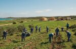 CARCERI, SAPPE: CON LE COLONIE AGRICOLE SI POTREBBERO IMPIEGARE FINO A DIECIMILA DETENUTI E RIDURRE IL SOVRAFFOLLAMENTO